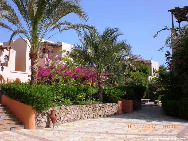 Hotel Sultan Bey El Gouna CIMG0270