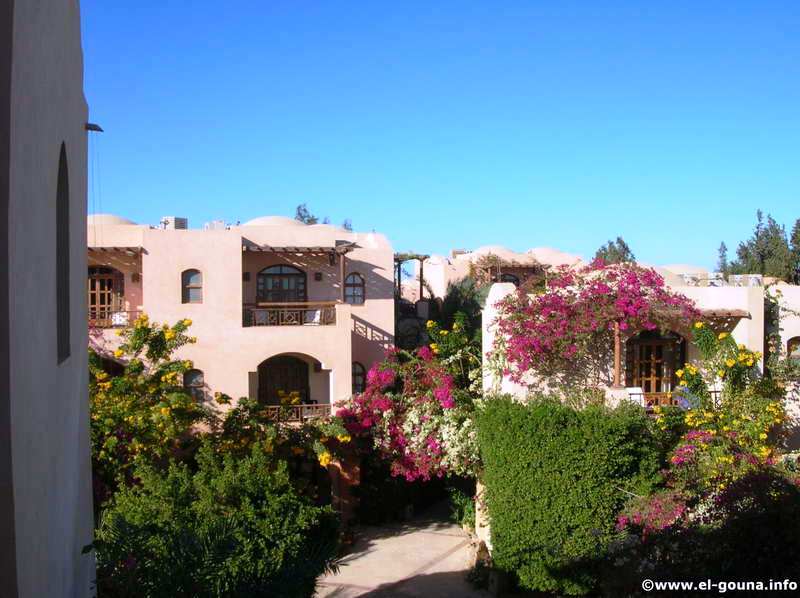 Hotel Sultan Bey El Gouna 6223