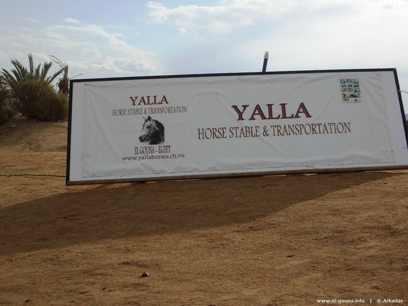 Yalla Horse Stables CIMG4476