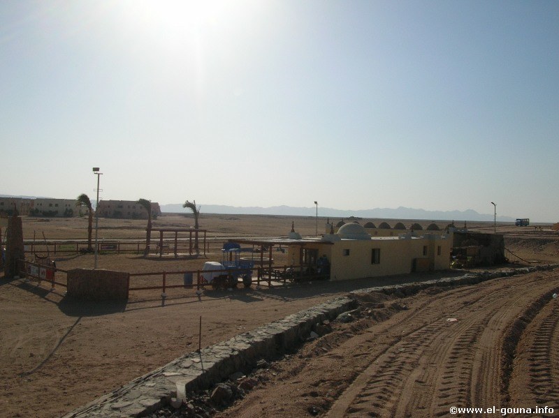 Yalla Horse Stables El Gouna 1026