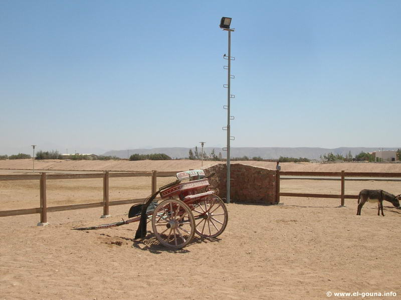 Yalla Horse Stables 8633