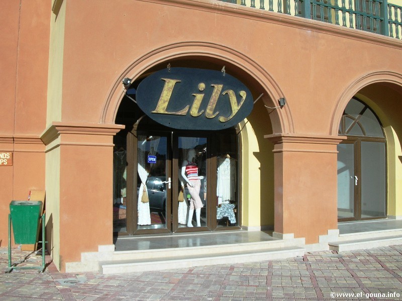 Lily 4195