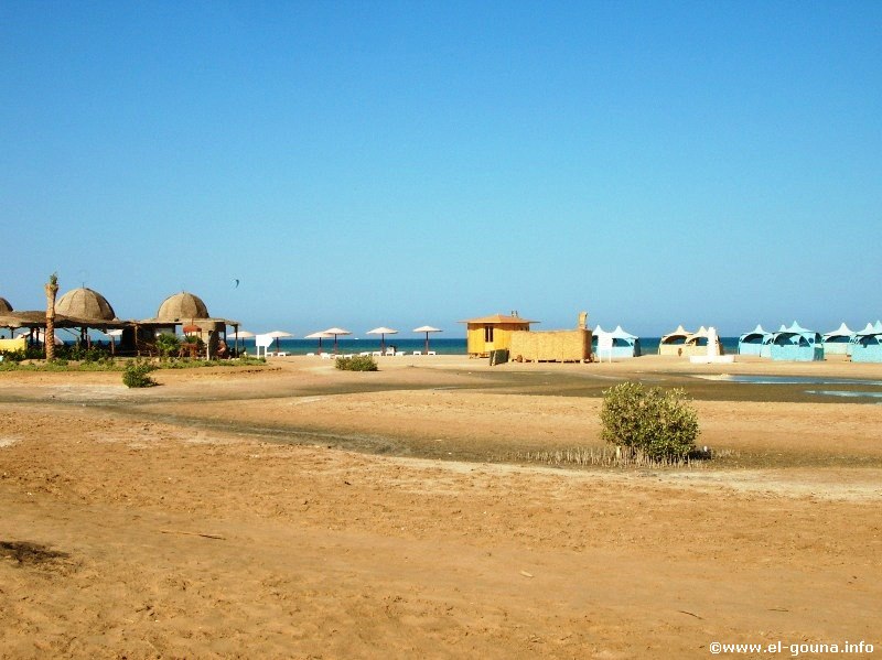 Mangroovy Beach  El Gouna 1191