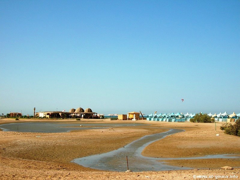 Mangroovy Beach  El Gouna 1192