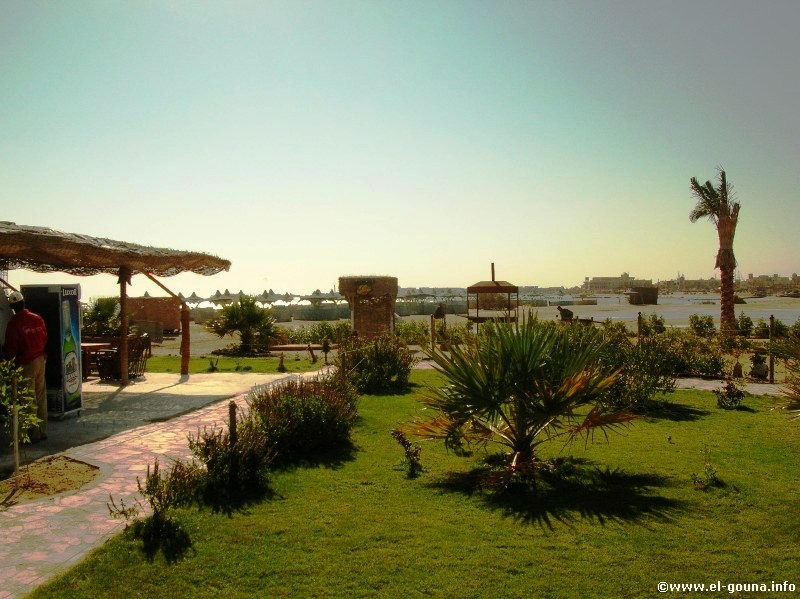 Mangroovy Beach  El Gouna 2795