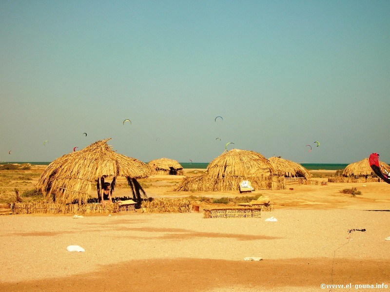 Mangroovy Beach  El Gouna 2831
