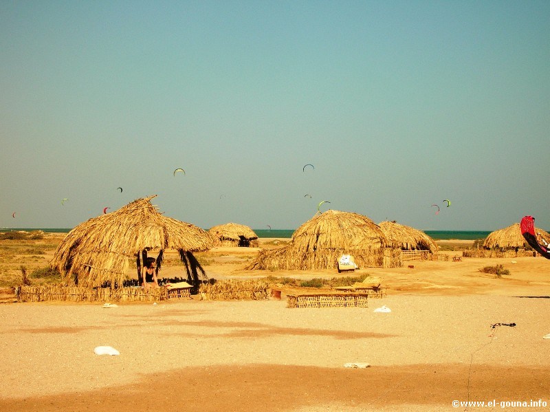 Mangroovy Beach  El Gouna 2831