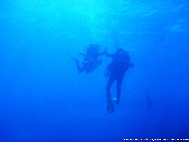 The Dive Connection El Gouna 0002