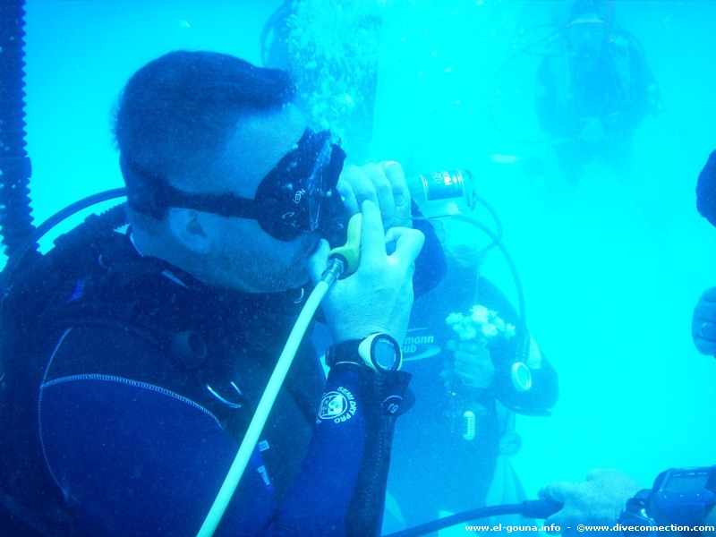 The Dive Connection  El Gouna 0045
