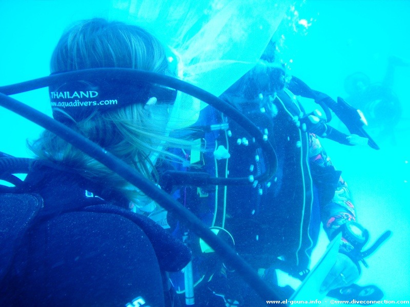 The Dive Connection  El Gouna 0051