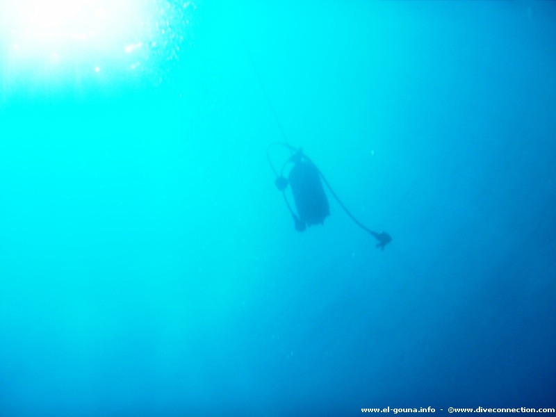 The Dive Connection  El Gouna 0064