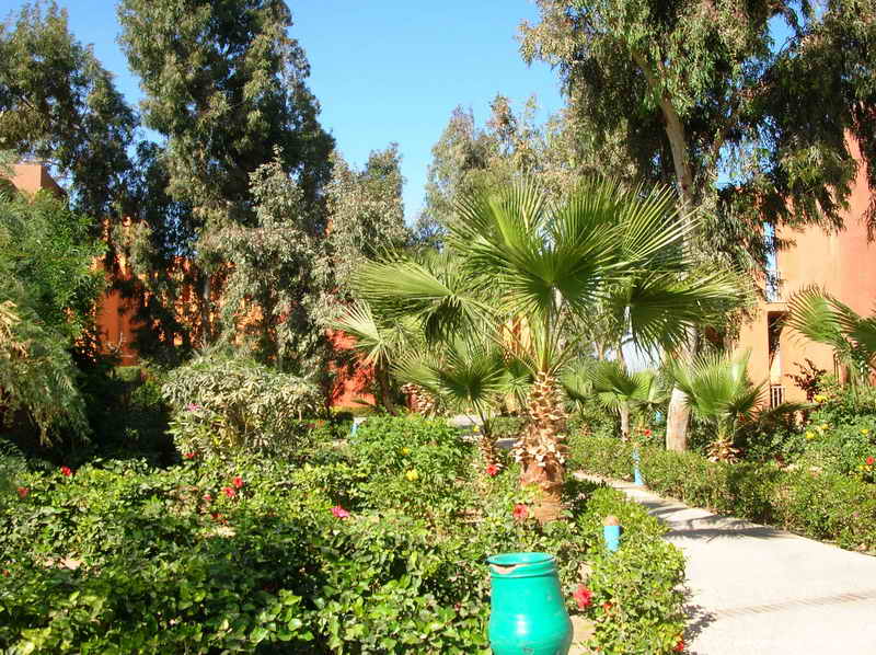 Hotel Steigenberger Golf Resort 6938