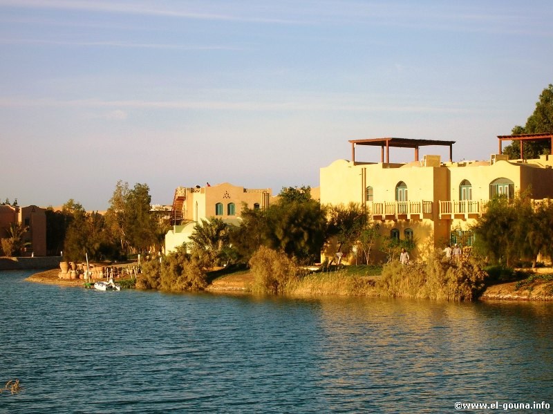 Kafr El Gouna (Tammr Henna, Downtown) 3718