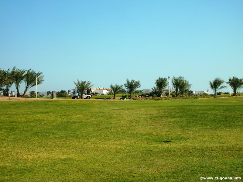 El Gouna Golf Club 7005