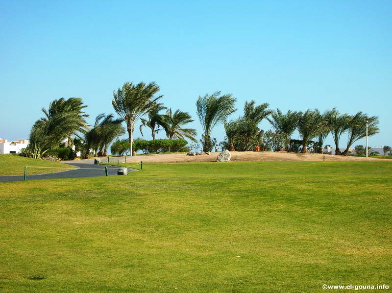 El Gouna Golf Club 7006