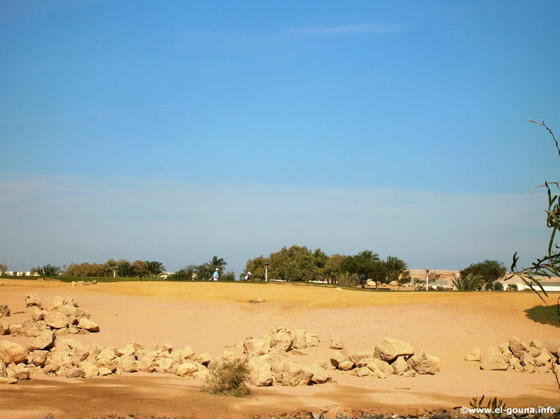 El Gouna Golf Club 7011