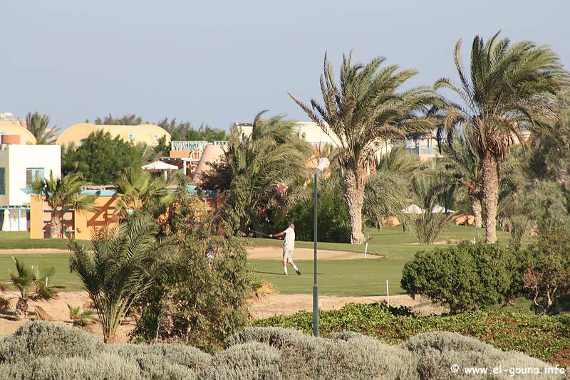Golf Course  0641