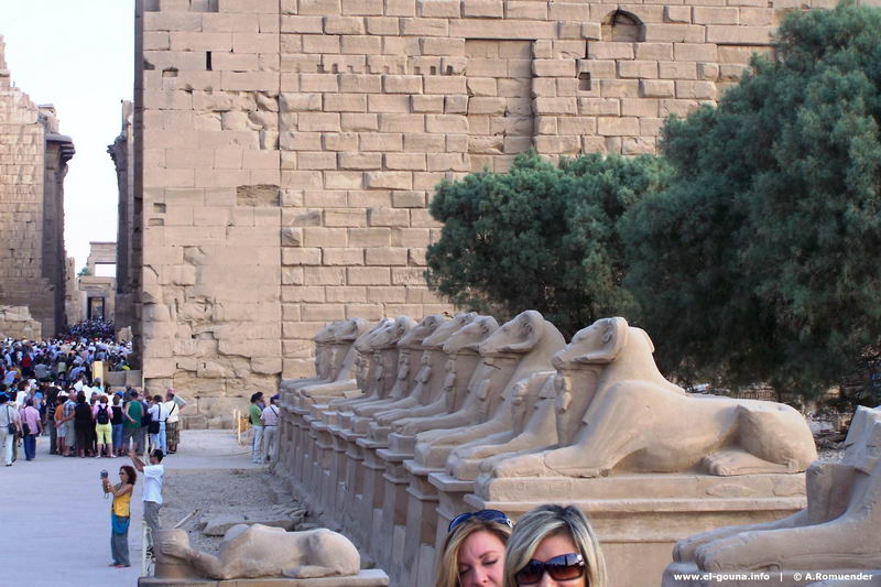 Luxor Tour 100 2464