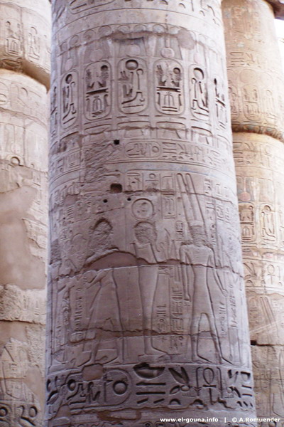 Luxor Tour 100 2475