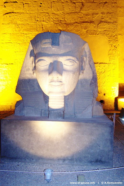 Luxor Tour 100 2499