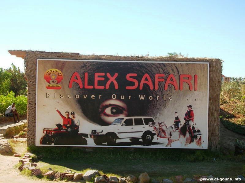 Alex Safari 5731