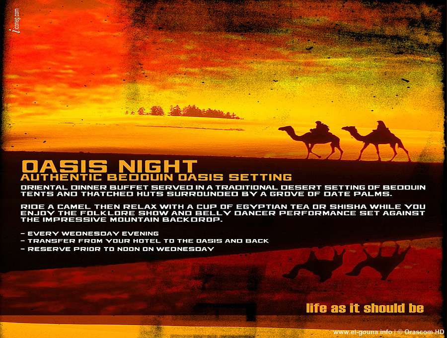 Oasis Night