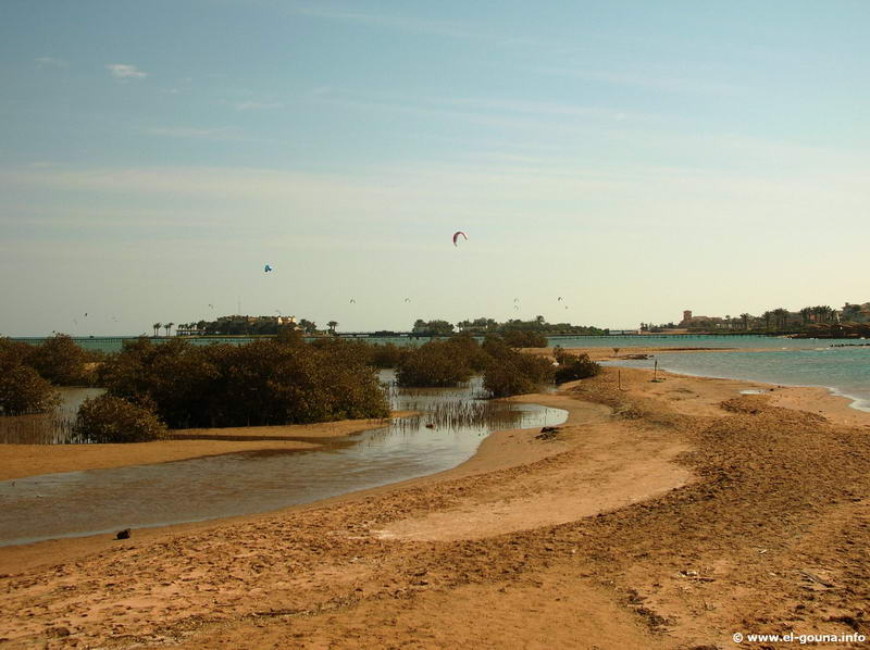Hotel Sheraton Miramar Resort  El Gouna 3463