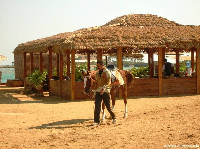 Zeytouna-Beach-3291