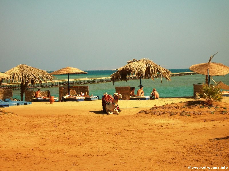 Zeytouna-Beach-3393
