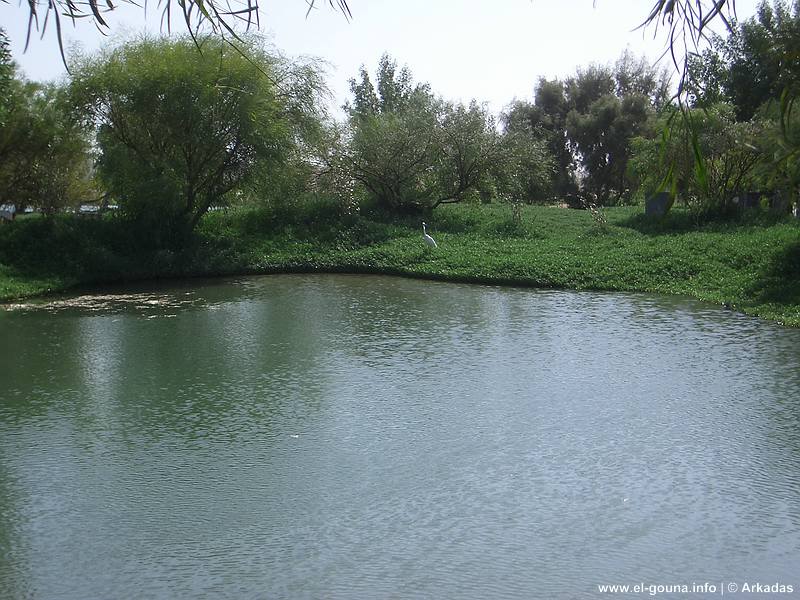 El Gouna Fischfarm 0718