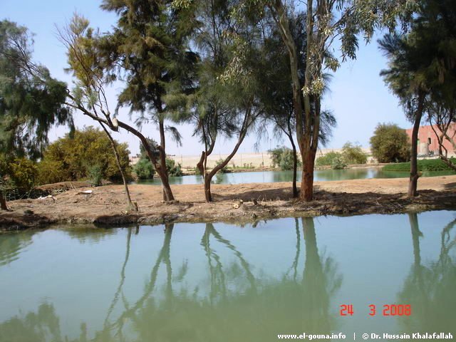 DSC02905