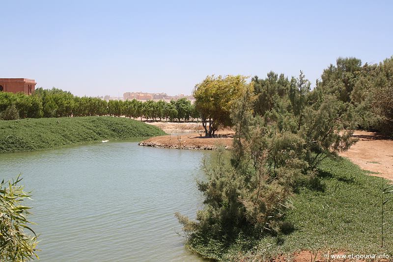 El Gouna Fischfarm 1285