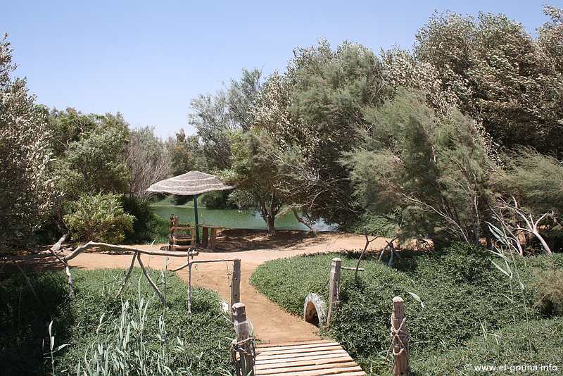 El Gouna Fischfarm 1287