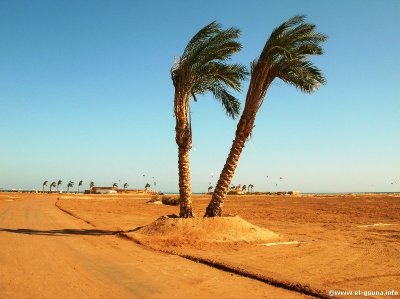 Kiteboarding Club El Gouna 2883