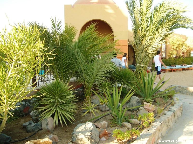 Hotel The Three Corners Ocean View El Gouna 3063