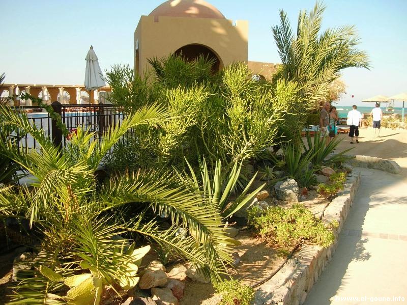 Hotel The Three Corners Ocean View El Gouna 3064