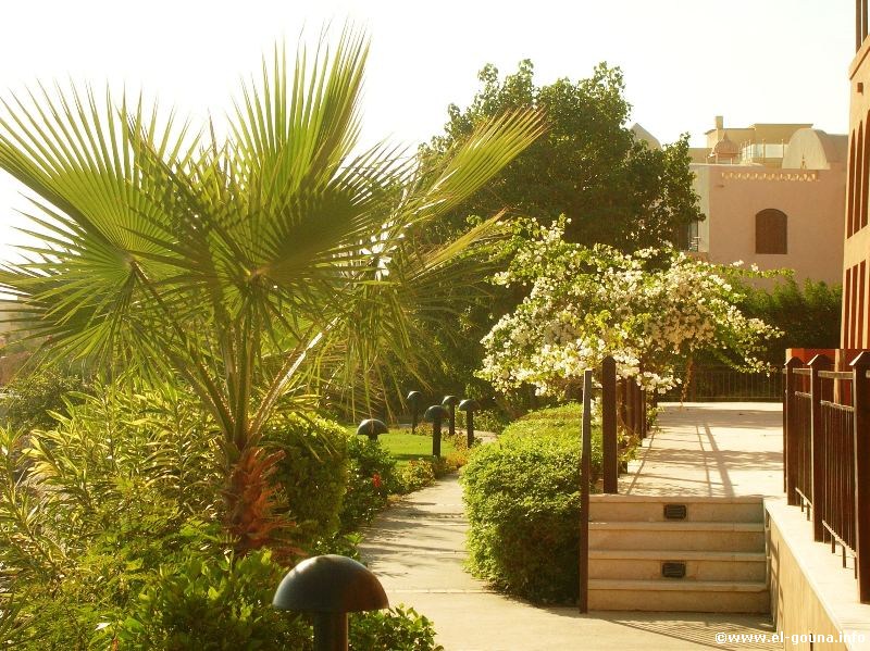 Hotel The Three Corners Ocean View El Gouna 3079