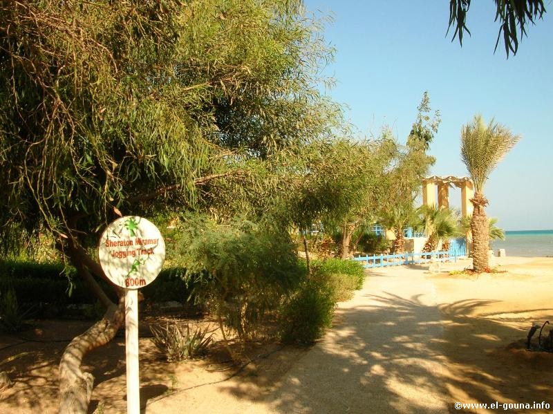 Hotel Sheraton Miramar Resort  El Gouna 3446