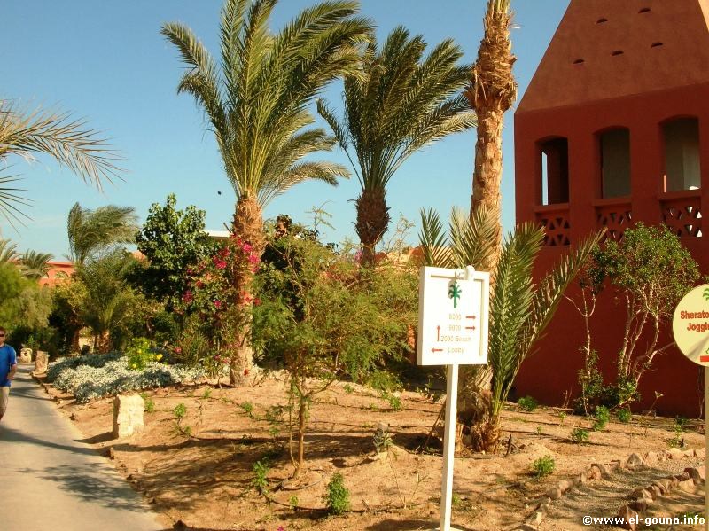 Hotel Sheraton Miramar Resort  El Gouna 3519