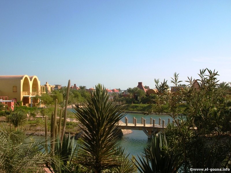 Hotel Sheraton Miramar Resort  El Gouna 3544