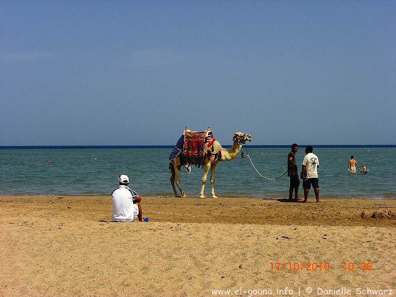 New TTC Rihana & Ocean View Sea Beach 8348