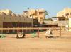 Yalla Horse Stables El Gouna 1028