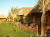 Hotel Panorama Bungalows Resort  El Gouna 3624