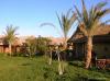 Hotel Panorama Bungalows Resort  El Gouna 3626