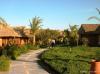 Hotel Panorama Bungalows Resort  El Gouna 3629