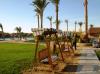 Hotel Panorama Bungalows Resort  El Gouna 3596