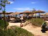 Buzzha Beach Bar & Restaurant 001.jpg