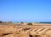 Mangroovy Beach  El Gouna 1185