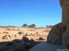 Turtles House 7075