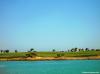 El Gouna Golf Club 6962